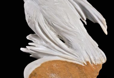 Bird in the wind