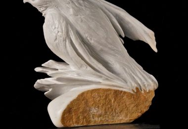 Bird in the wind