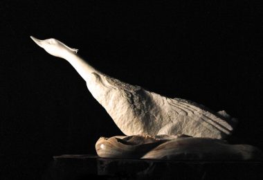 Emerging flight