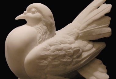 Dove