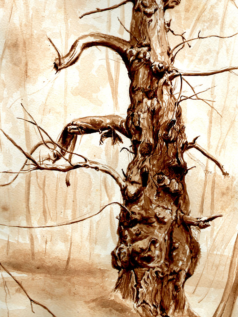 drawing