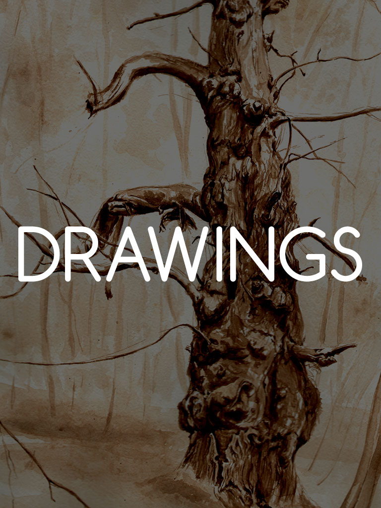 drawings1jpg